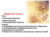 Нервная ткань