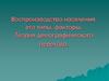 Воспроизводство населения, его типы, факторы. Теория демографического перехода
