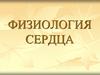 Физиология сердца