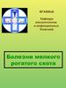 Болезни мелкого рогатого скота