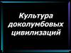 Культура доколумбовых цивилизаций