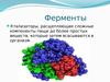 Ферменты. Катализаторы, расщепляющие сложные компоненты пищи до более простых