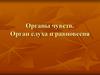 Органы чувств. Орган слуха и равновесия