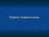 Травма позвоночника. Все повреждения спинного мозга и позвоночника