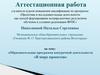 Аттестационная работа. «Образовательная программа внеурочной деятельности «В мире проектов»