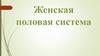 Женская половая система
