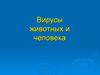 Вирусы животных и человека