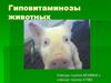 Гиповитаминозы животных