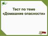 Тест по теме «Домашние опасности»