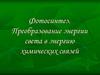 Фотосинтез. Преобразование энергии света в энергию химических связей