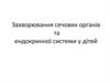 Захворювання сечових органів та ендокринної системи у дітей. Лекція 12