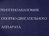 Рентгеноанатомия опорно-двигательного аппарата