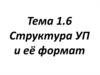 Структура УП и ее формат