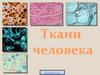 Ткани человека