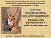 Лисица обыкновенная, или Лисица рыжая.  Особенности размножения и заботы о потомстве