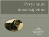 Регуляция пищеварения