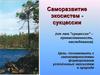 Саморазвитие экосистем - сукцессии