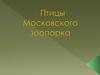 Птицы московского зоопарка