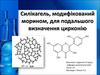 Силікагель, модифікований морином, для подальшого визначення цирконію