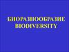 Биоразнообразие. Biodiversity