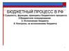 Бюджетный процесс в РФ