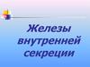Железы внутренней секреции