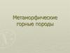 Метаморфические горные породы