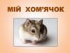 Мій  хом’ячок