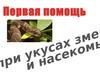 Первая помощь при укусах змей и насекомых