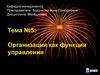 Организация, как функция управления. (Тема 5)