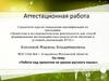 Аттестационная работа. Работа над проектом на уроках русского языка