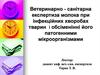 Ветеринарно - санітарна експертиза молока при інфекційних хворобах тварин і обсіменінні його патогенними мікроорганізмами