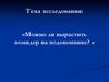 Можно ли вырастить помидор на подоконнике