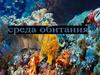 Среда обитания