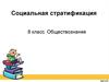 Социальная стратификация. (8 класс)