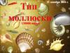 Тип моллюски. Значение моллюсков