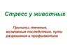 Стресс у животных