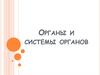 Органы и системы органов