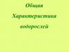 Общая Характеристика водорослей