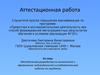 Аттестационная работа. Методическая разработка по выполнению и оформлению индивидуальной исследовательской работы по предмету