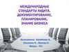 Международные стандарты аудита. Документирование, планирование, знание бизнеса