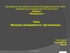 Функции менеджмента. Организация