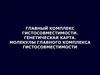 Главный комплекс гистосовместимости. Генетическая карта. Молекулы главного комплекса гистосовместимости