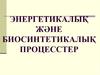 Энергетикалық және биосинтетикалық процесстер