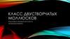 Класс двустворчатых моллюсков