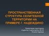 Пространственная структура селитебной территории на примере г. Надеждино