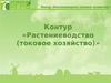 Растениеводство (токовое хазяйство). Контур