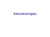 Анализаторы. Кодирование информации