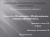 Кіріспе негізгі бөлім классификациясы этиологиясы патогенезі патоанатомиясы қорытынды пайдаланылған әдебиеттер