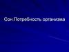 Сон. Потребность организма